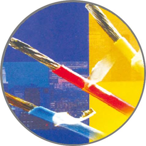 2591662531303556.jpg 圖片37.jpg